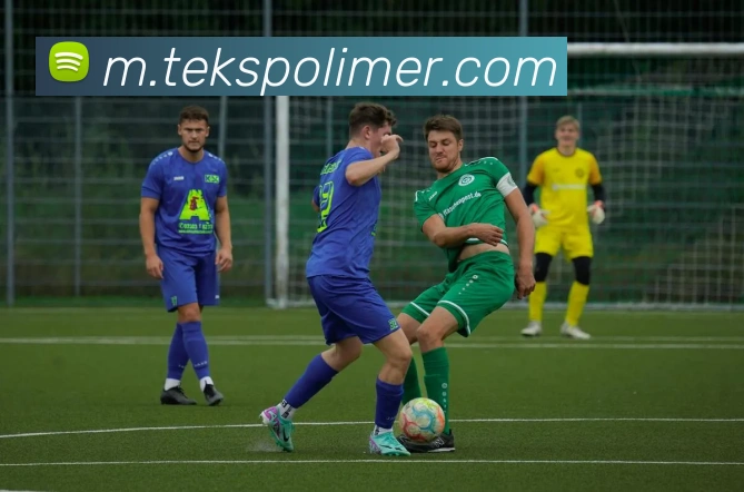 奖项证书